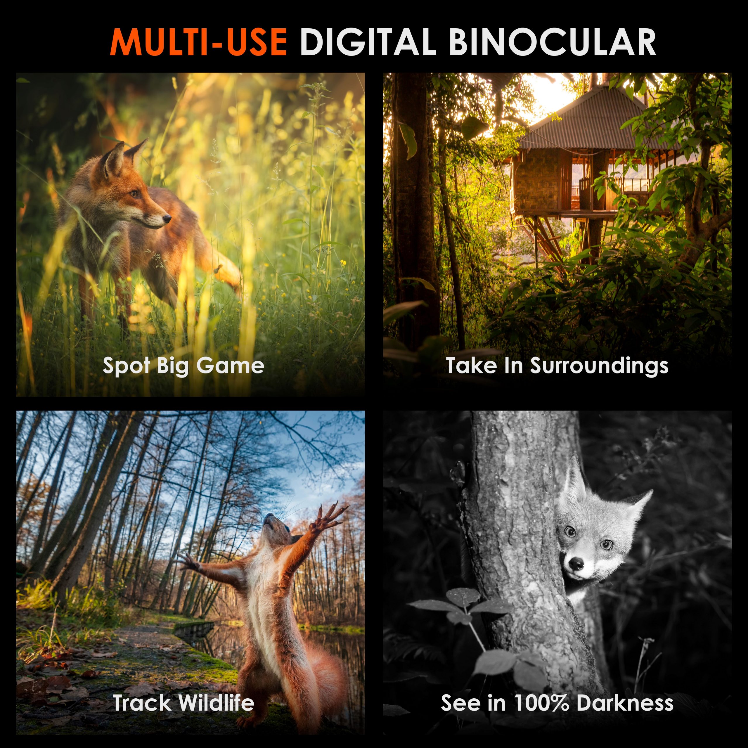 Rexing B1 Pro - 4K IR Night Vision Digital Binocular